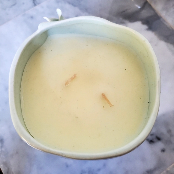 Anthropologie Night Gardenia Two Wick  Large Candle - Picture 4 of 6